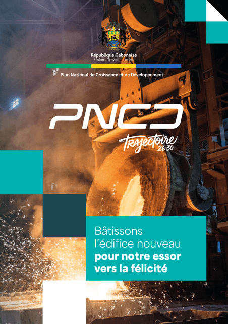 Couverture du rapport de synthèse du PNCD